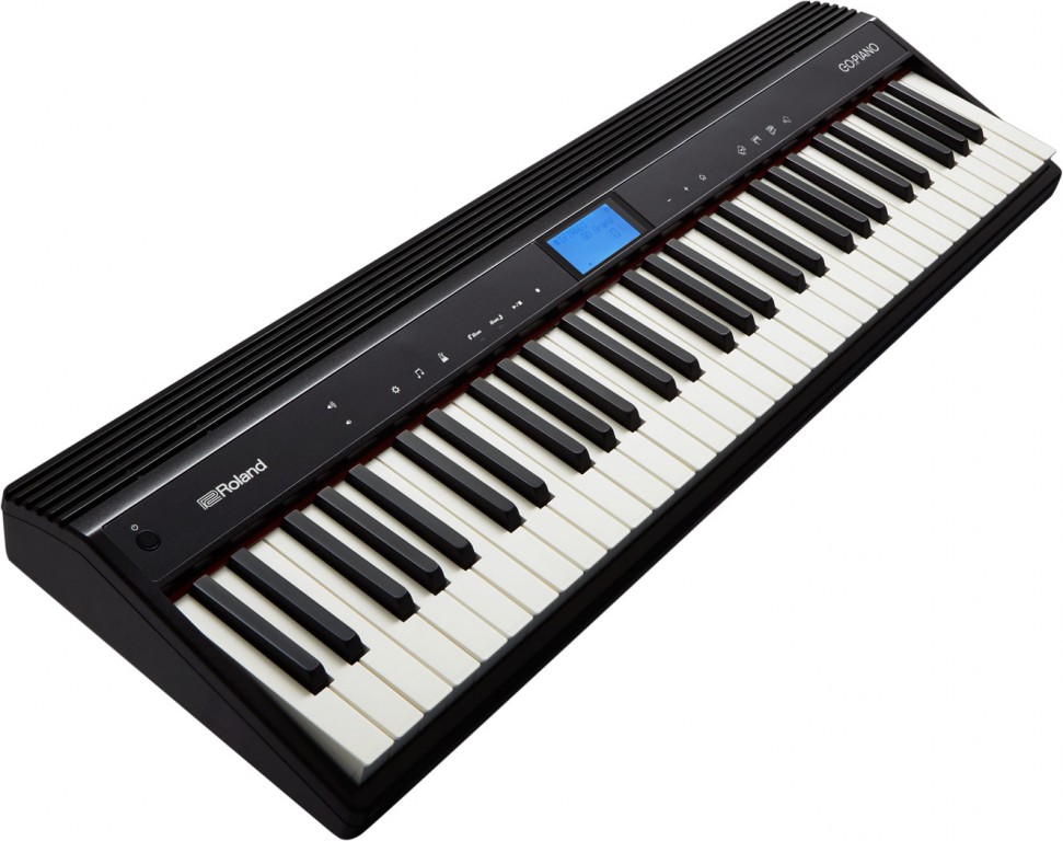 gopiano_04_gal.jpg