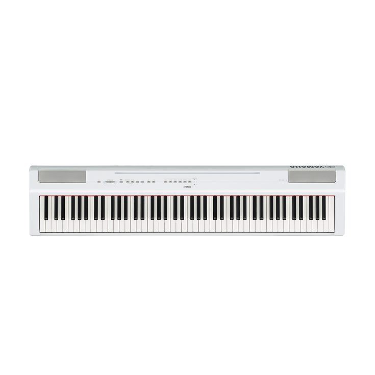 p-125 wh 2.jpg