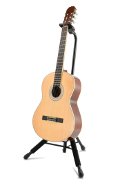 HCGS-414B+_Acoustic_Guitar02_03_web_original.png