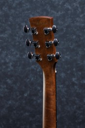 Ibanez-aw54ce-OPN-3.jpg