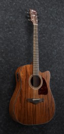 Ibanez-aw54ce-OPN-4.jpg
