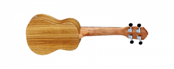 Ortega-ukulele-rfu10ze-2.png