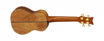 ortega-ukulele-lizard-cc-gb-2.png
