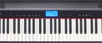 gopiano_10_gal.jpg