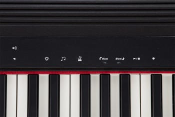 gopiano_12_gal.jpg