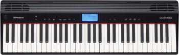 gopiano_main_gal.jpg