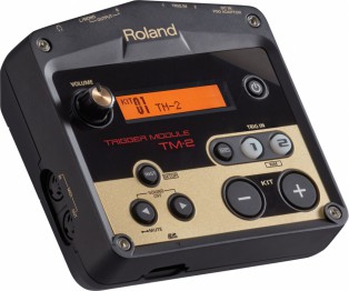 Roland TM-2.2.jpg