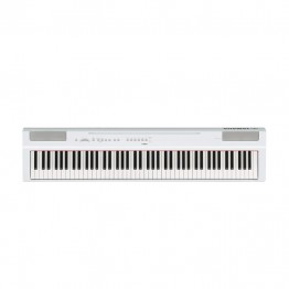p-125 wh 2.jpg