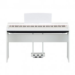 p-125 wh 3.jpg