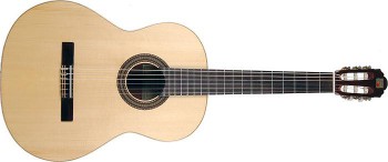 Alhambra-1C Spruce 02.jpg